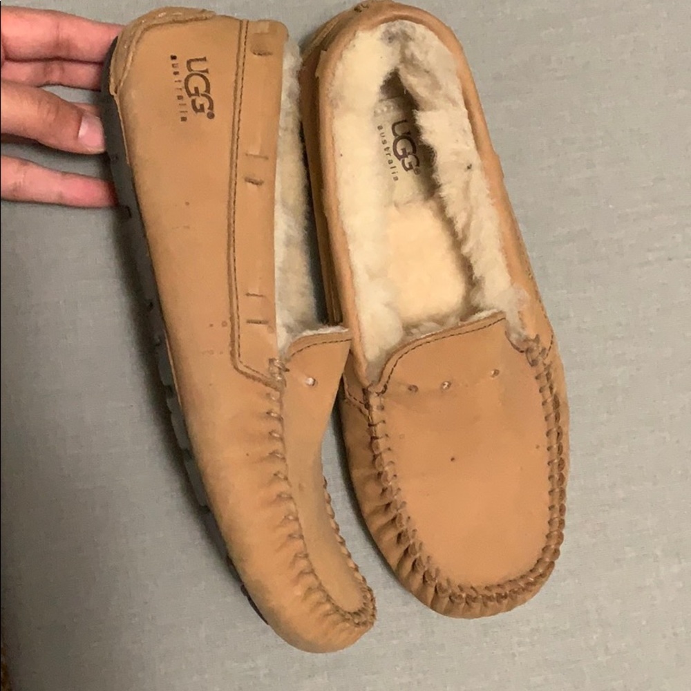 Authentic UGG Australia Moccasins Dakota